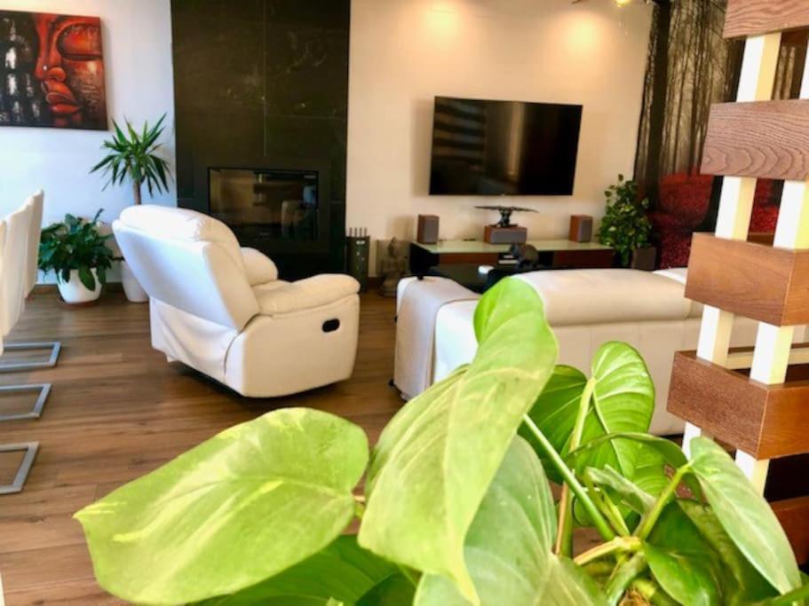 Modern Zen Bali Ξενοδοχείο Puerto Real Εξωτερικό φωτογραφία